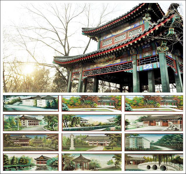 陈楚汉等 摄影